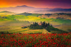 Erstaunliche ländliche Landschaft der Toskana mit roten Mohnblumen in den Getrei