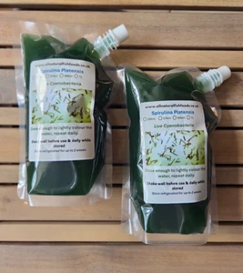 500ml Spirulina Platensis Culture + Free Culture Growing Nutrient & Instructions - Picture 1 of 6