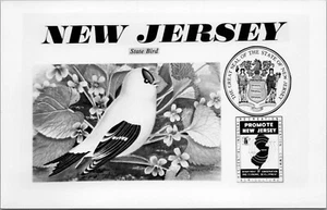 RPPC Nueva Jersey NJ State Bird State Seal B&W postal sin publicar - Imagen 1 de 2
