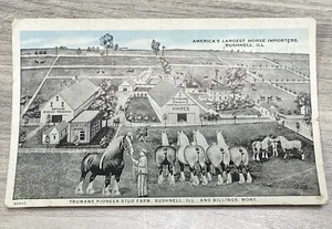 Vintage Postcard Bushnell Illinois Billings Montana Percheron Belgian Horse - Picture 1 of 6