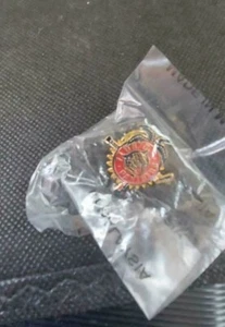 NHL Florida Panthers Small Logo Pin Hockey Vintage OOP Stamped Off. Lic. Prod. - Picture 1 of 3