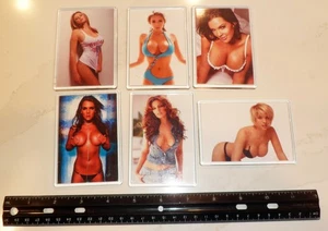 Naughty Fridge Magnet lot - 6 Fridge Magnets - 2.5" x 3.5" - Picture 1 of 1