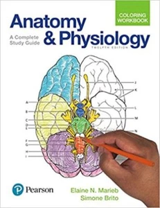 Anatomy and Physiology Coloring Workbook 12e Global Edition - Imagen 1 de 2