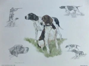 NIGEL HEMMING Pointer hunting dog SIGNED Lithograph 86 art UK ARTIST pet art - Picture 1 of 5