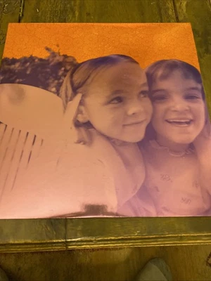 Smashing Pumpkins Siamese Dream Vinyl Record Reissue 2x 180g Vinyl LP - Image 1 of 4