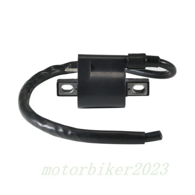 Bobina de encendido nueva para Suzuki DRZ400S 2000-2019 DR125 1982-1984 GS125 1999-2000 Foto 1 de 4