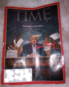 Time Magazine Donald Trump February 27 March 6, 2017 Nothing To See Here Collect - Picture 1 of 10
