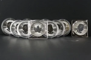 10x 1 Unze Silber Maple Leaf 2020 - 2021 10x 1 Unze 311 Gramm Feinsilber #93 - Bild 1 von 8