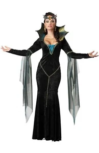 Adult Medium Evil Sorceress Wicked Witch Enchantress Fairytale Halloween Costume - Picture 1 of 8