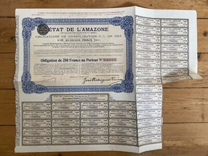 ETAT DE L'AMAZONE (BRESIL) (I1) - Foto 1 di 1