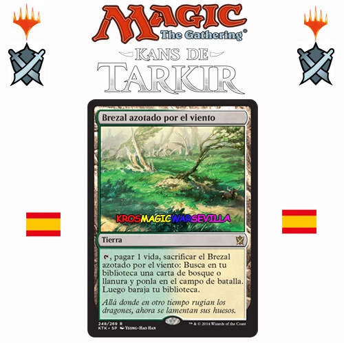 MTG Brezal azotado por el viento KANS DE TARKIR ESPAÑOL NM Windswept Heath - Imagen 1 de 1