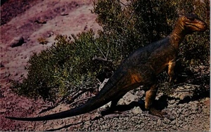 Model of Antrodemus Dinosaur National Monument Utah Postcard - Picture 1 of 2