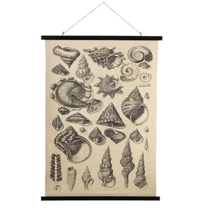 Decoración de pared de lona impresa Midwest CBK Seashell variedades 41,25 pulgadas - Imagen 1 de 1