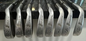 Palm Springs Gravity Balance Oversize Eisensatz 2-9 RH True Temper Stahlschaft - Bild 1 von 10