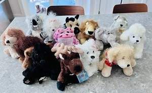 Lot of 14 Ganz Webkinz Plush Stuffed Animals . 2 With Codes . PreOwned . - Picture 1 of 7