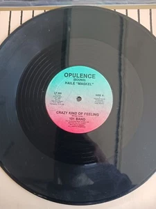 101 BAND "Crazy Kind Of Feeling" 1988 Opulence Reggae Haile Maskel Jah Fada - Picture 1 of 2