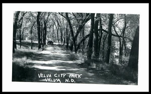 RPPC Velva City Park North Dakota Early Automobile Real Photo Postcard - Picture 1 of 2