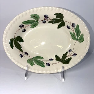 Blue Ridge Southern Pottery Oval Serving Bowl Mountain Ivy 9.25 X 7 in - Picture 1 of 6