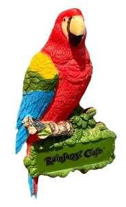 Imán de nevera de colección Rainforest Café Parrot Disney World Animal Kingdom WDW RARO - Imagen 1 de 6