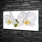 Wandbild Glas-Bild Druck auf Glas 100x50 Deko Blumen & Pflanzen Orchidee