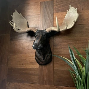 Scratch & Dent North American Moose Head Bust Wall Hanging - Picture 1 of 6