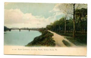 Wilkes Barre, PA. River Common Trail mit Bock. Rotograph, um 1905. Penn. - Bild 1 von 2
