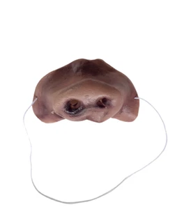 Deluxe PIG SNOUT NOSE Goma Granja Animal Disfraz Máscara Juguete Divertido Piglet Falso NUEVO - Imagen 1 de 8
