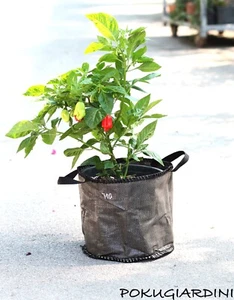 18L Pflanzbeutel 3 Stck. Baggy Planter, Pflanzsack, Pflanzgefäße, Pflanztaschen, - Bild 1 von 5