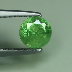 0.89 Cts_Loose Gemstone_100 % Natural Green Demantoid Garnet_Namibia - Picture 1 of 3