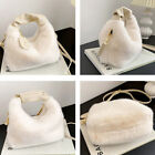 Winter Plush Bag Long Fur Handbag Women's Plush Crossbody Bag Fashion Handbags