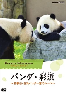 Family History Panda Saihama (Saihin) ~Roots of the Wakayama/Shirahama Panda Fam - Picture 1 of 1