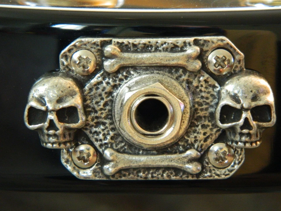 CUBIERTA SKULL JACK se adapta a bc rich WARLOCK BASS GUITAR placa rectangular metal sólido  Foto 1 de 1