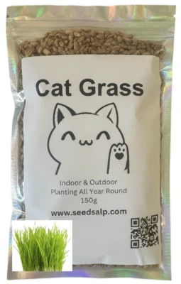 Cat Grass Seeds Wheat Rye Grass Indoor & Outdoor pet Fast Growing 150g 50 pots - Image 1 of 4