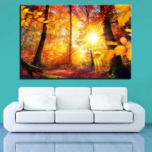 Autumn Gold Forest Sunset Scenery Canvas Prints Painting Wall Art Home Decor 1P - Picture 1 of 5