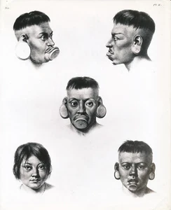 Indiens BOTOCUDO c. 1950 - Drawings Dessins Brésil - GF 636 - Picture 1 of 2