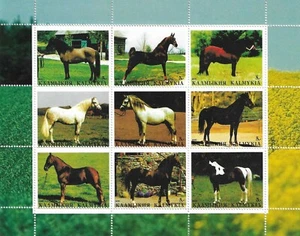 Horses Handsome Popular Horse Breeds Kalmykia Republic Mint Stamp Sheet 2000 - Picture 1 of 1
