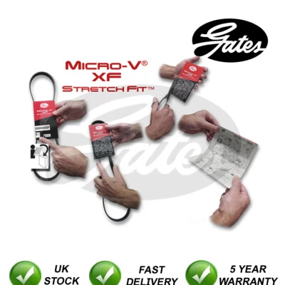 Gates V-Ribbed Belts Fits Smart Fortwo (2007-2014) 1.0 #4906 - Imagem 1 de 4