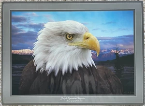 Art Print SIGNED by Hjell Sandved PURPLE MOUNTAIN MAJESTIES Bald Eagle Poster - Picture 1 of 4