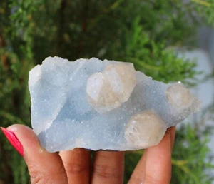 Apophyllite Crystals On Blue Matrix Minerals Specimen #M46 - Picture 1 of 4