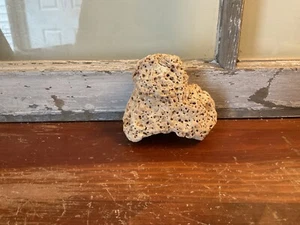 White CORAL Fossil Beach Ocean 3” x 3” - Picture 1 of 4