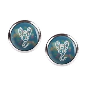 Mylery Stud Earrings Pair with Zodiac Zodiac Scorpio Scorpio Silver Ver - Picture 1 of 6