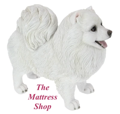 ~❤️~JAPANESE SPITZ Puppy Dog Figurine WHITE POMERANIAN Resin Large 29 (H)cm~❤️~ - image 1 of 4