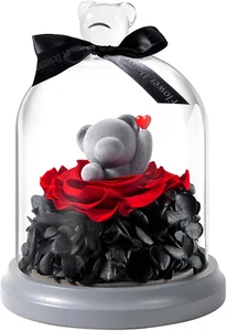 Preserved Rose Bear in Glass Dome, Birthday Roses Gifts for Women Girlfriend Mom - Picture 1 of 9