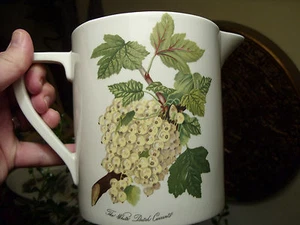 PORTMEIRION POMONA WHITE DUTCH CURRANT EXTREMELY RARE LARGEST PITCHER NEAR MINT! - Picture 1 of 6