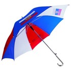 Regenschirm Schirm Stockschirm Trikolore Russland Зонтик Зонт 