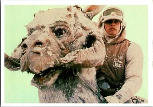1980 Topps Star Wars Empire Strikes Back Giant Photo Card #13 Luke on Tauntaun - Picture 1 of 2