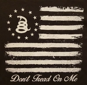 CAMISA BANDERA DE TODOS LOS AMERICAN OUTFITTERS DON'T TREAD ON ME GADSDEN - Imagen 1 de 9