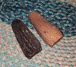 Prim Grungy Wachs Gewürz duftend Maiskolben Kerze/Schüsselfüller/Wachsschmilzt Land - Bild 1 von 2