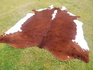 BIG ! NEW HEREFORD BROWN Cowhide Rug natural Cowhides Cow Hide Skin 6X6 FEET WHR - Picture 1 of 6