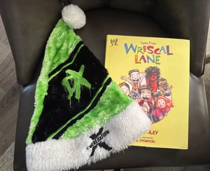 Sombrero de Papá Noel DX Lucha Libre Vintage Verde - Imagen 1 de 22